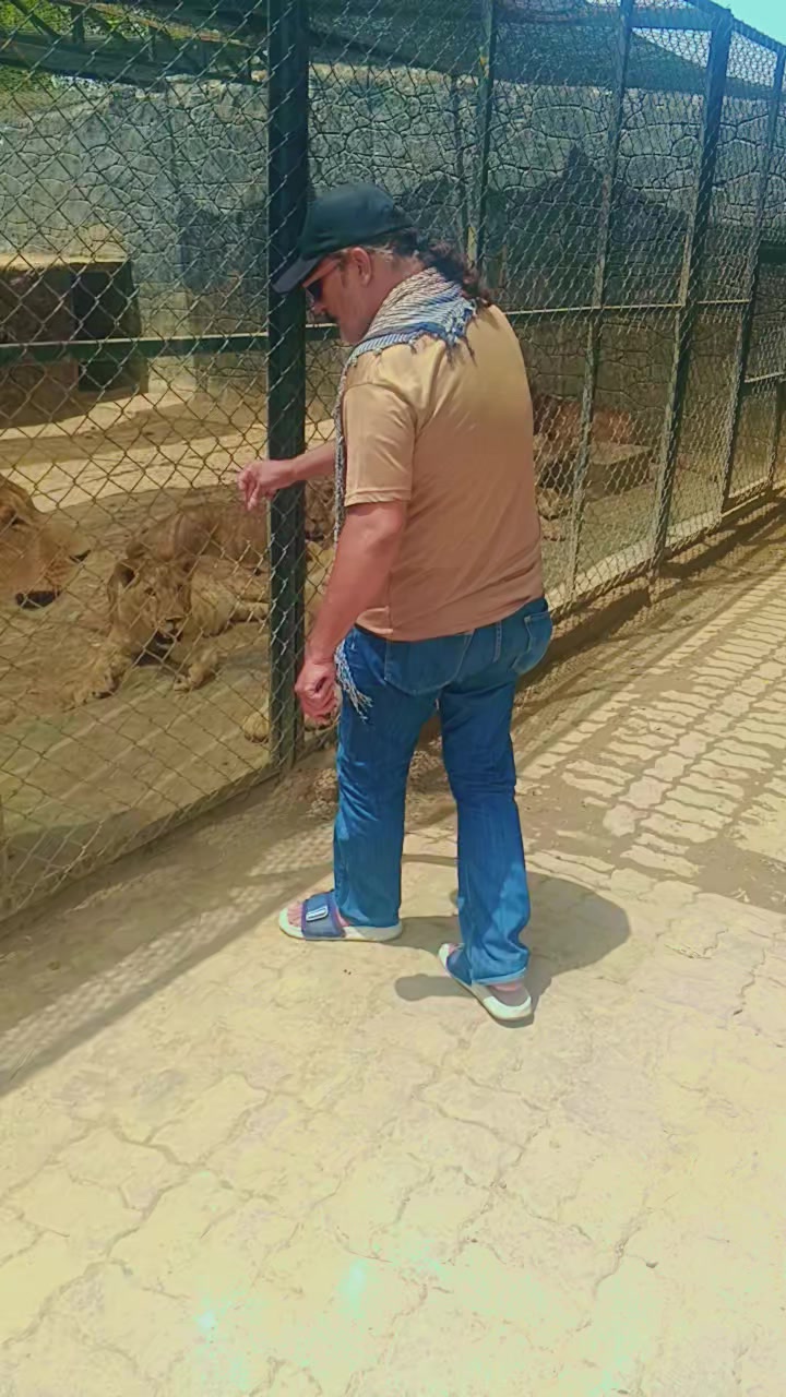 @muhammadshafiqe508