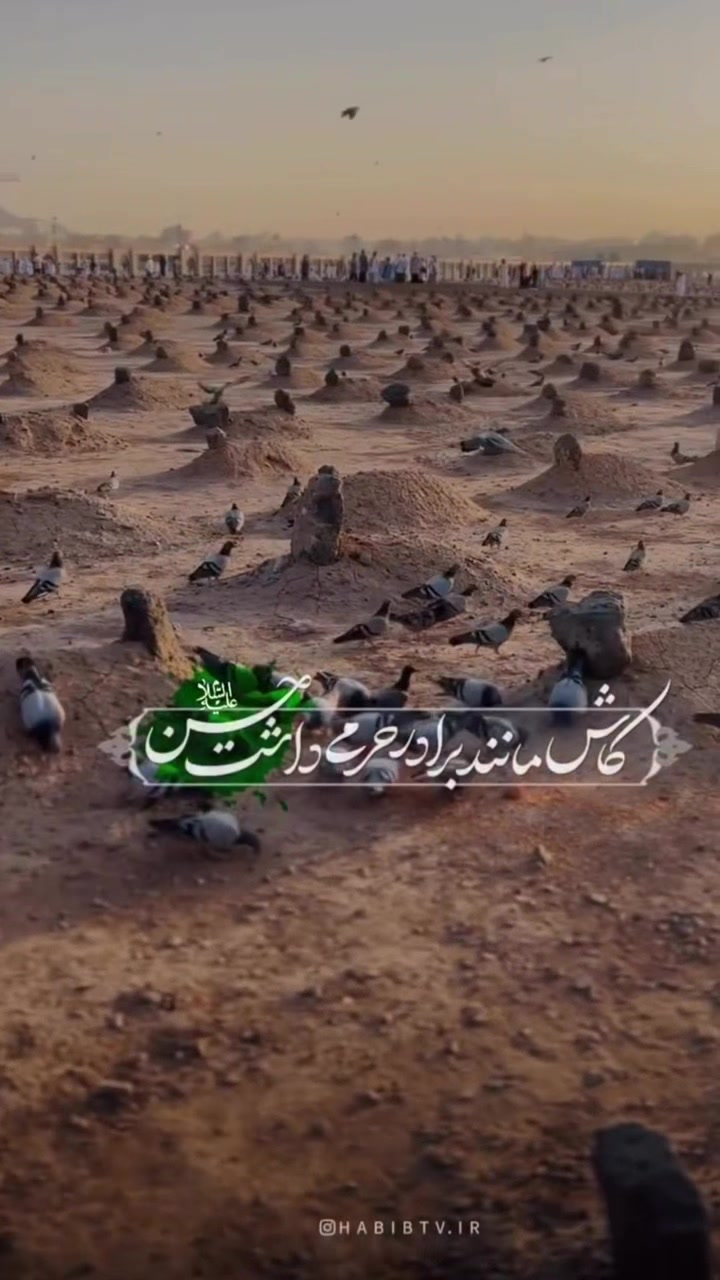 @batooljaffari