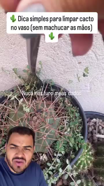 @Obrasilense