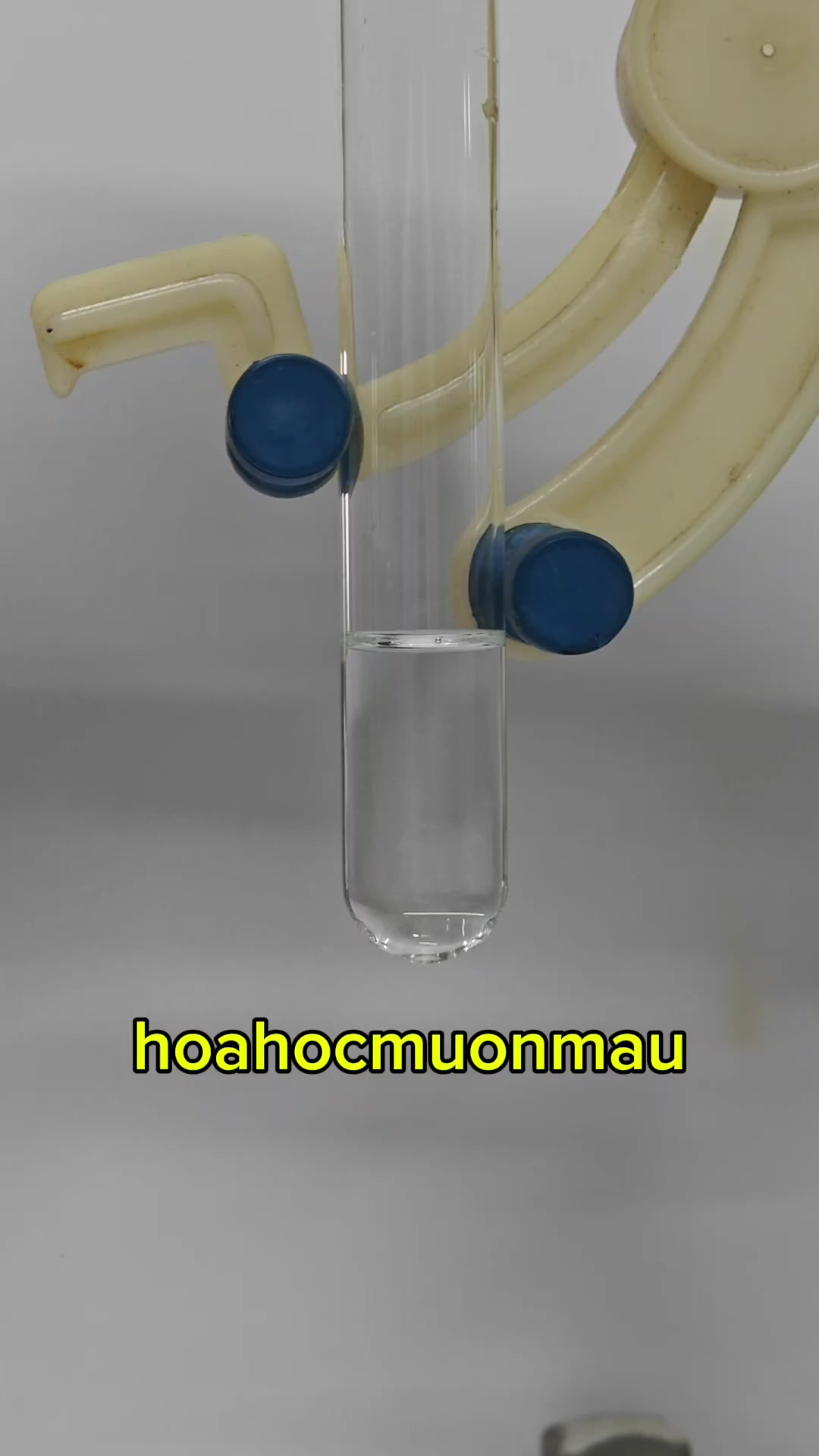 @hoahocmuonmau