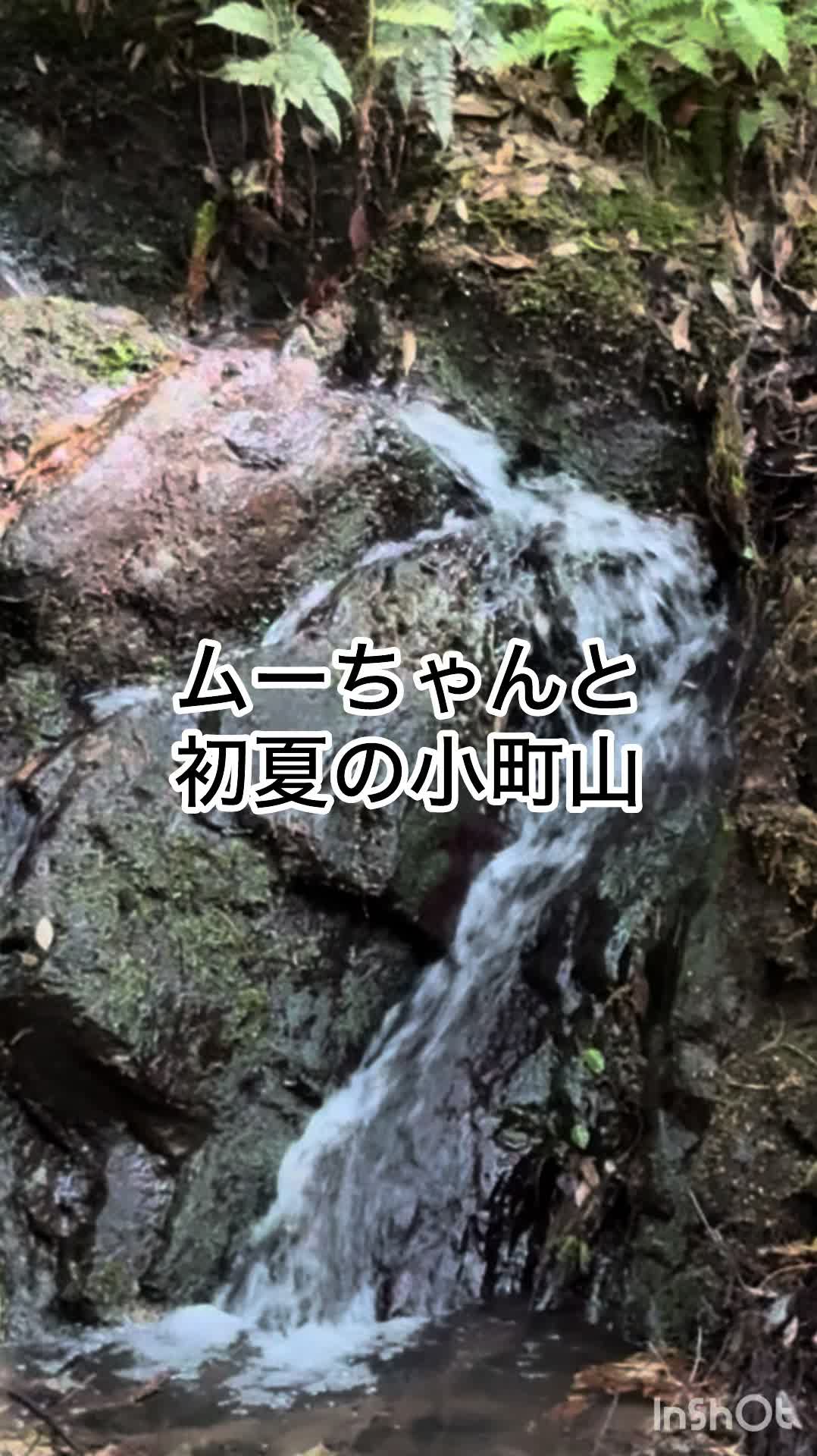 @ミウラ&bull;リョーコ(イーツカ&bull;リョーコ)