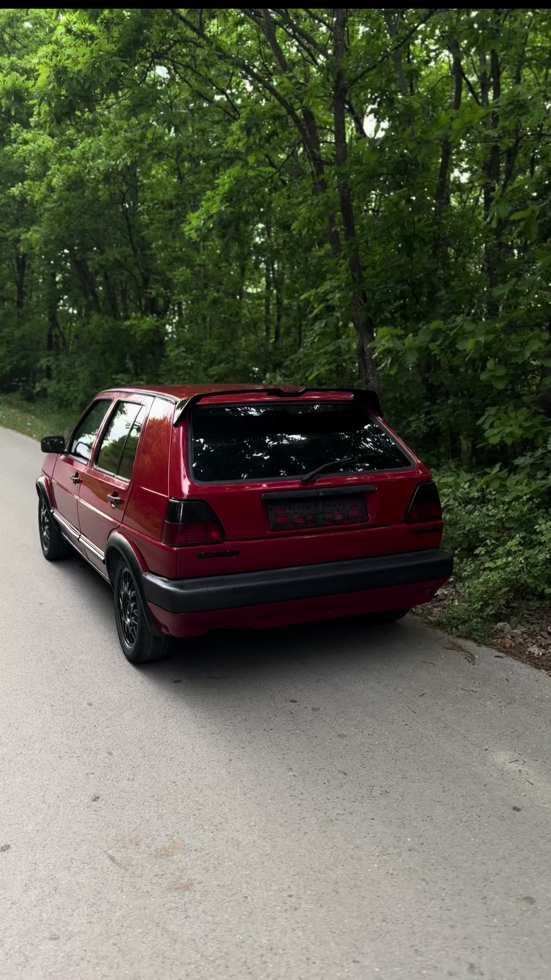 @Albert.Mk2