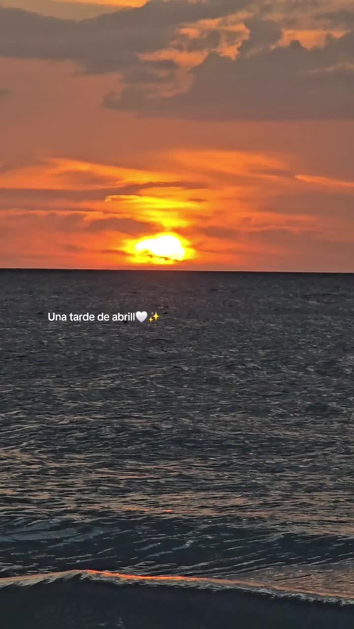@✨️Golden Shine✨️