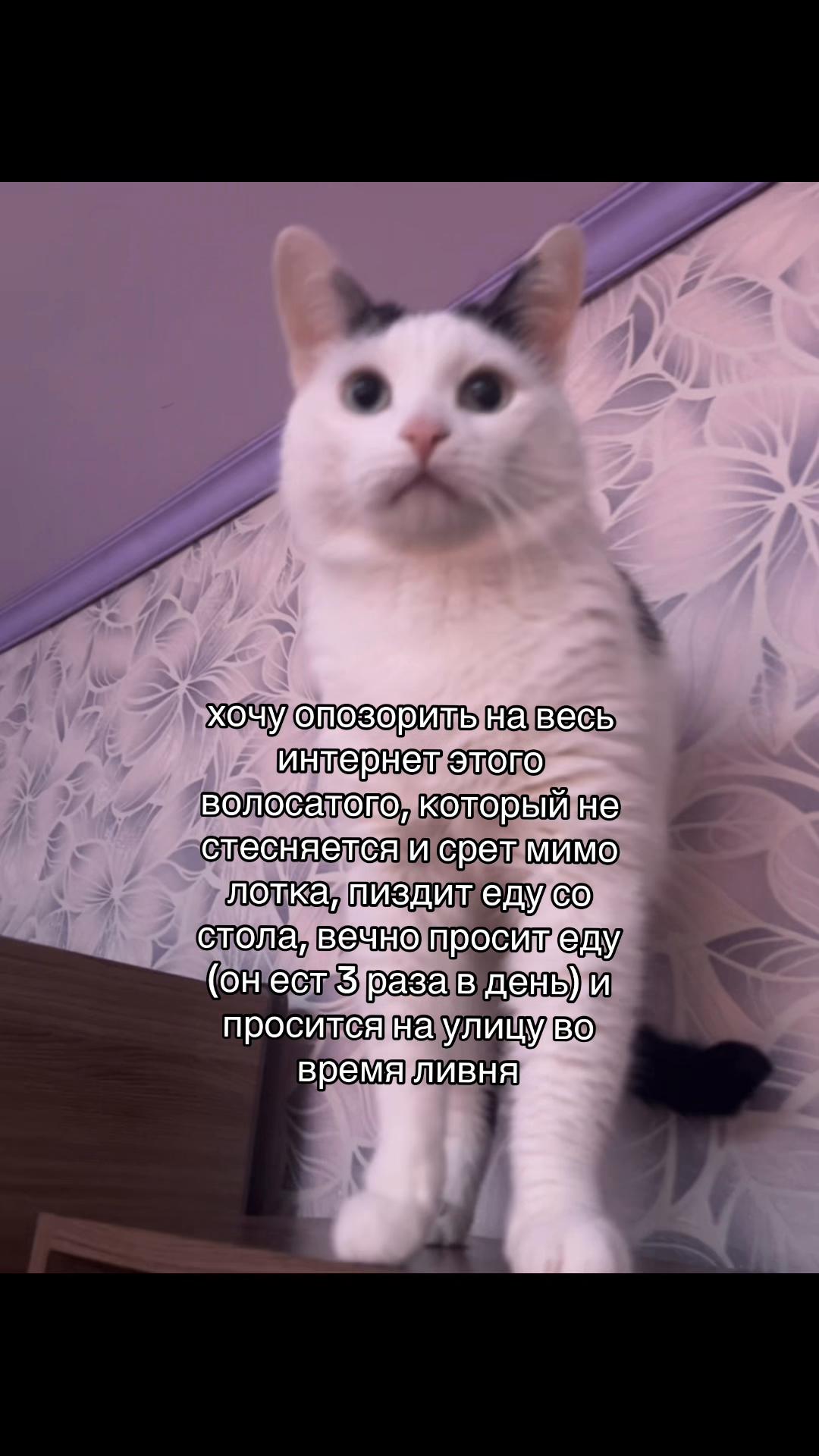 @настюша