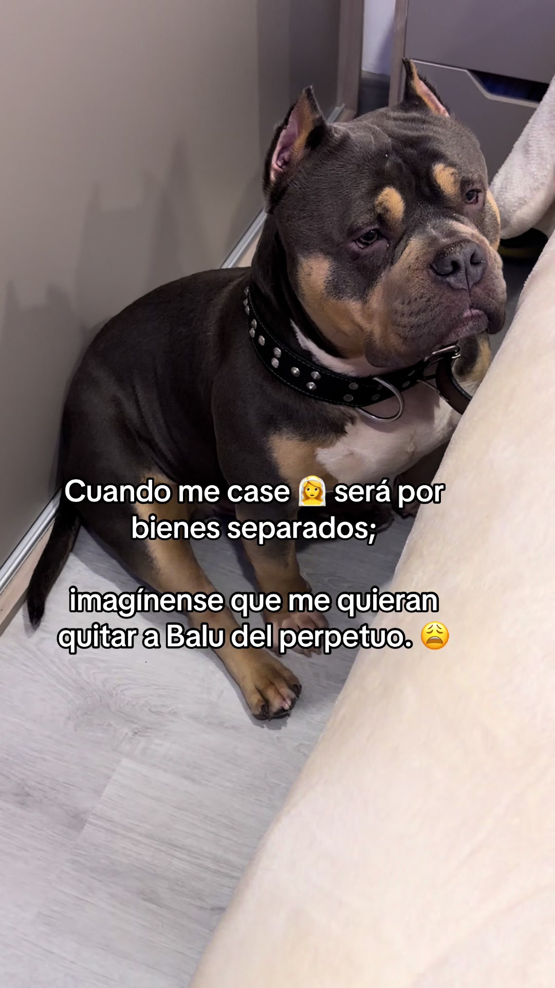 @André.Gask