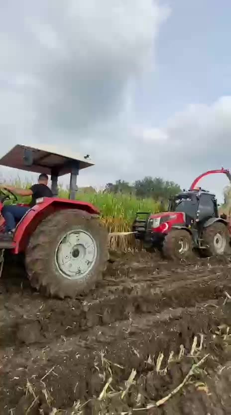 @SERKAN IŞIK