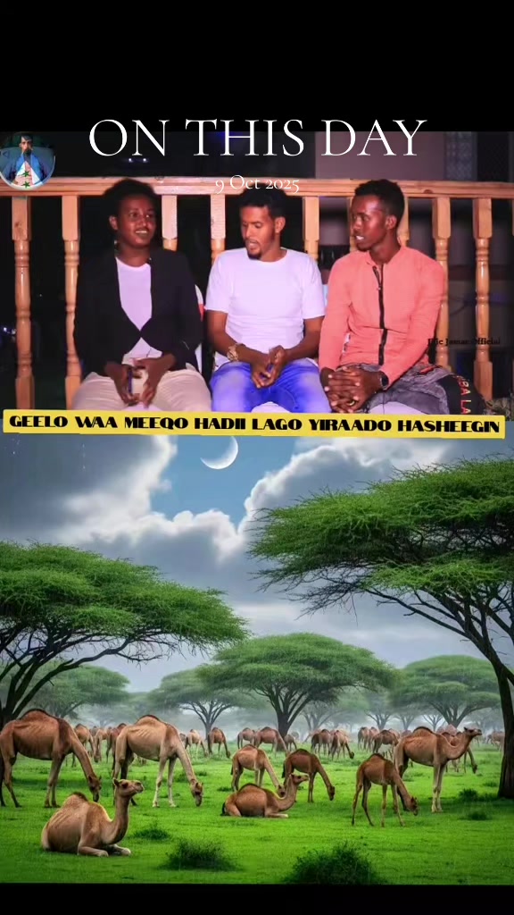 @CIISE GALMUDUGTV🇩🇯JAXAF.JXAF