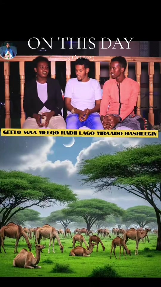 @CIISE GALMUDUGTV🇩🇯JAXAF.JXAF