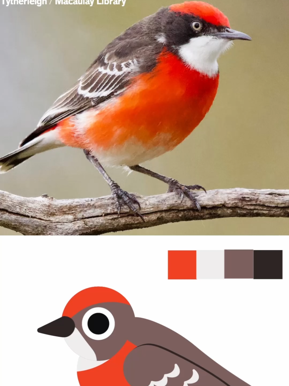 @Flock Around