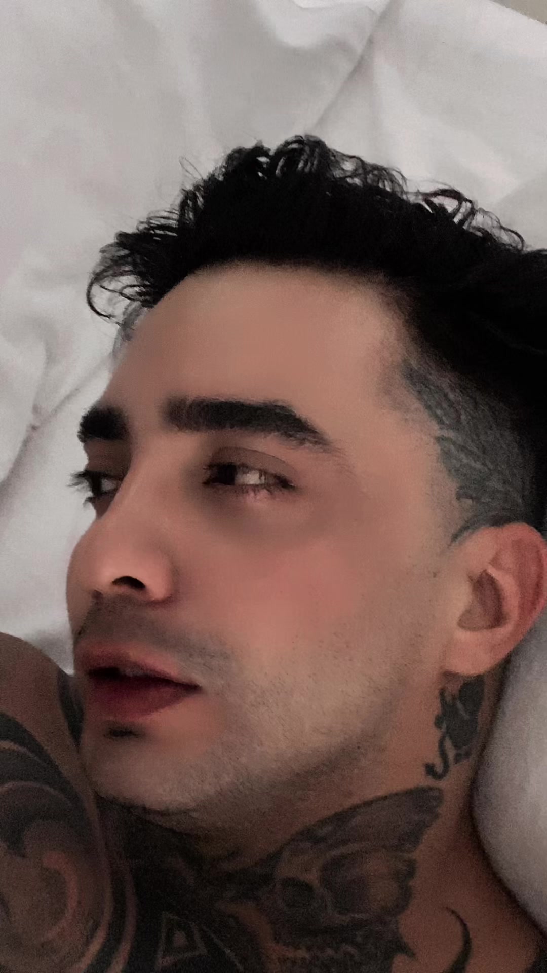 @ABSALON