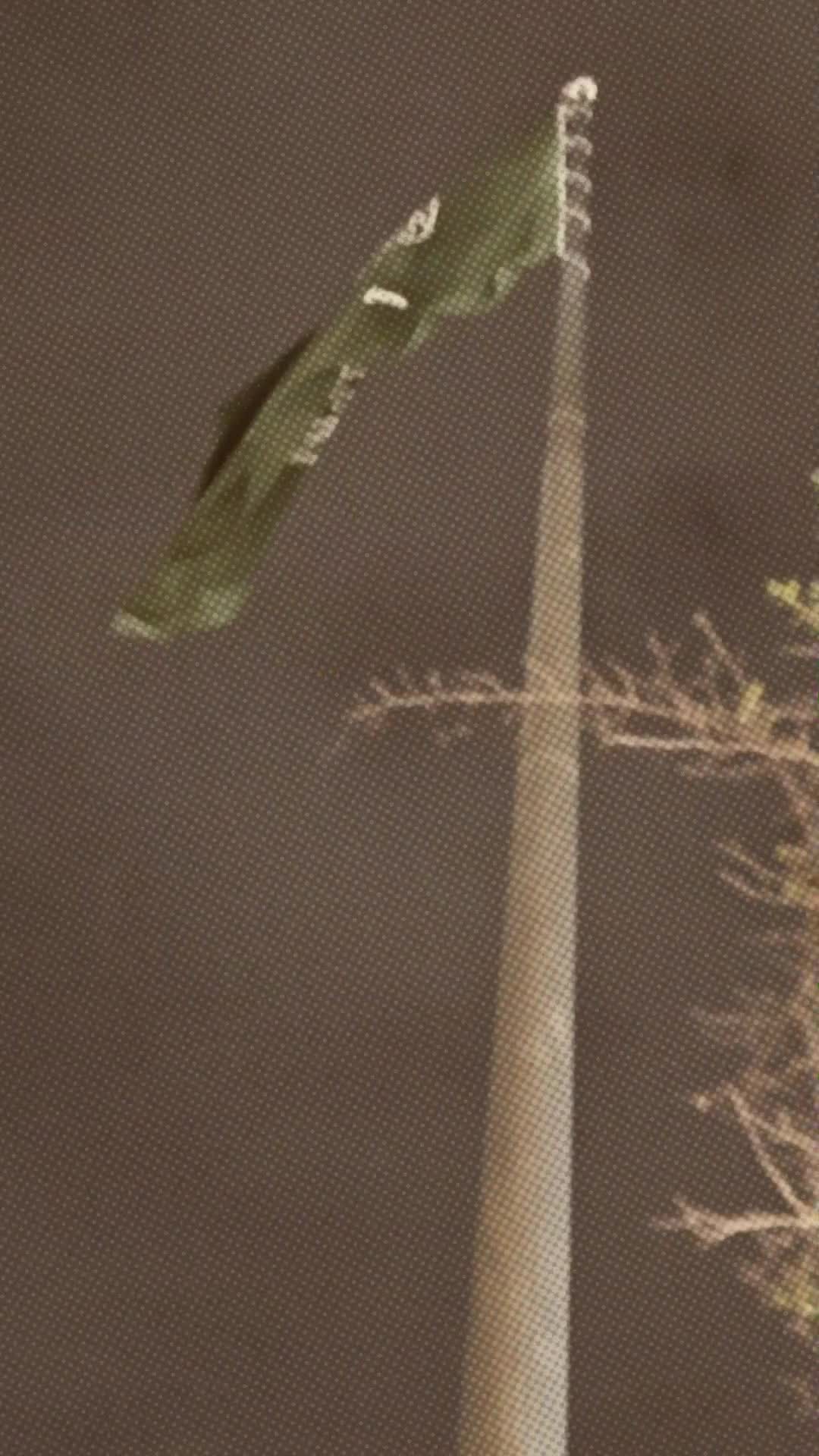 @✨͜⃝⃔🕊𝚭𝚯𝚬𝚭_Aᴜʀᴀ✨
