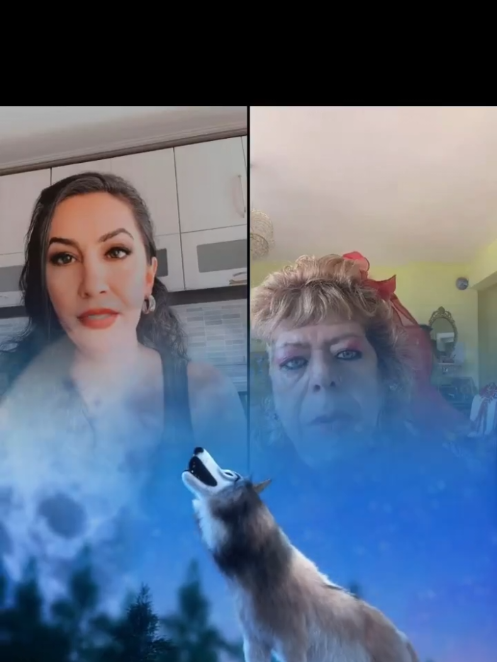 @sevda