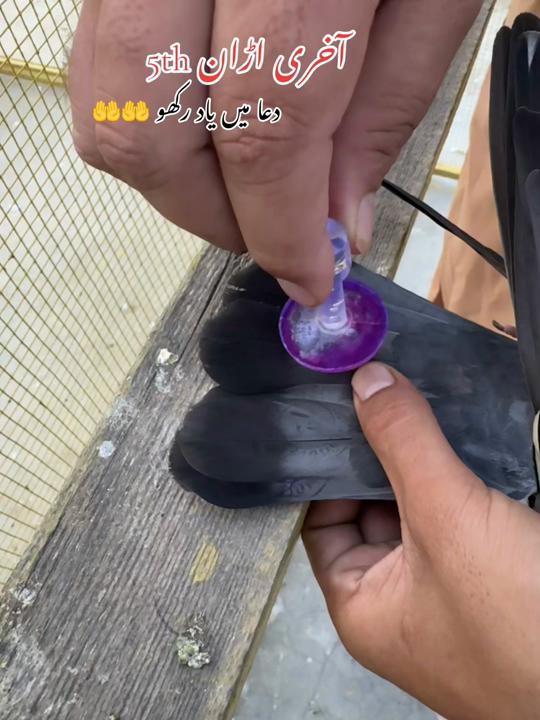 @ToqeerKhan300