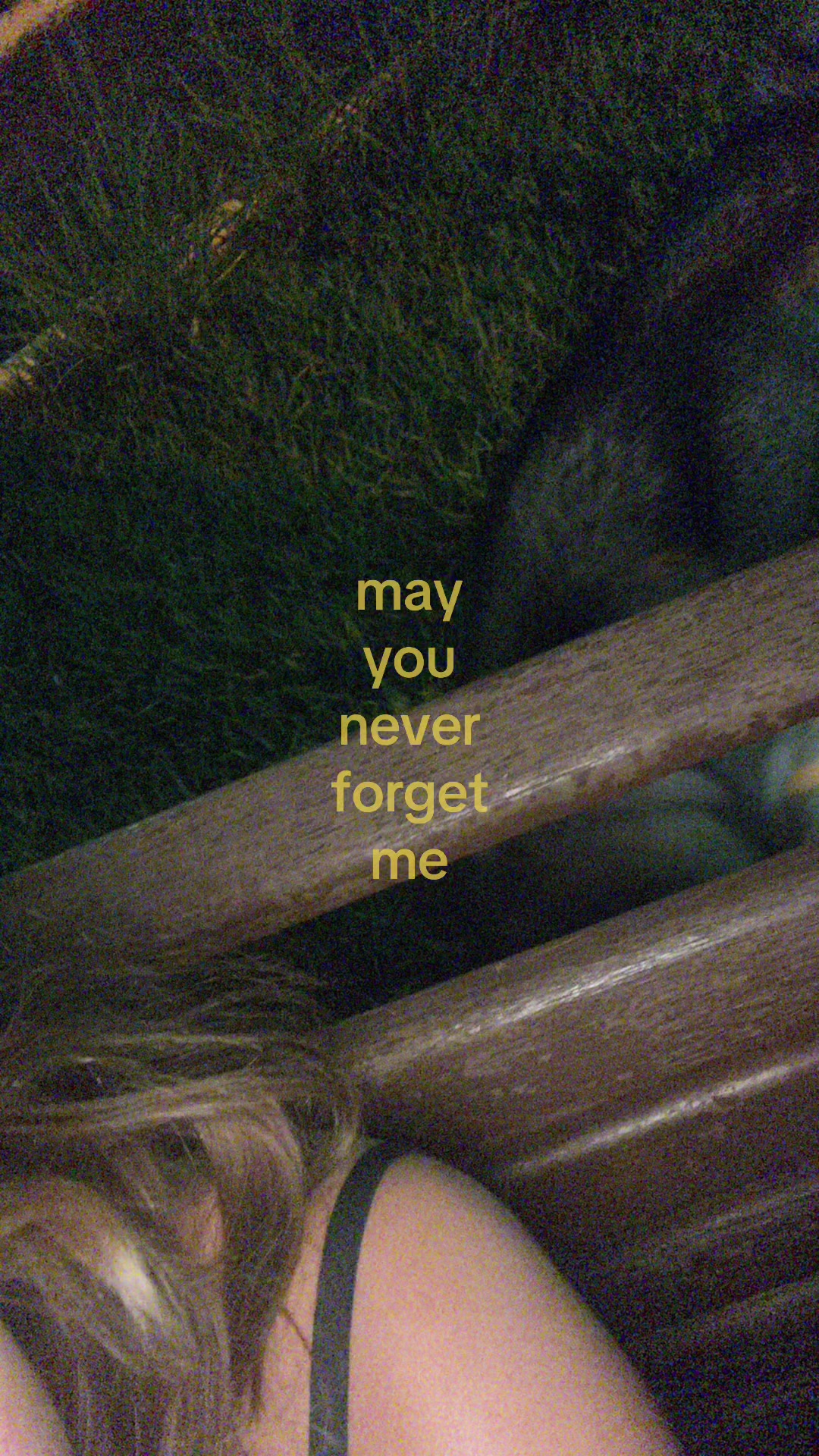 @wolfhard