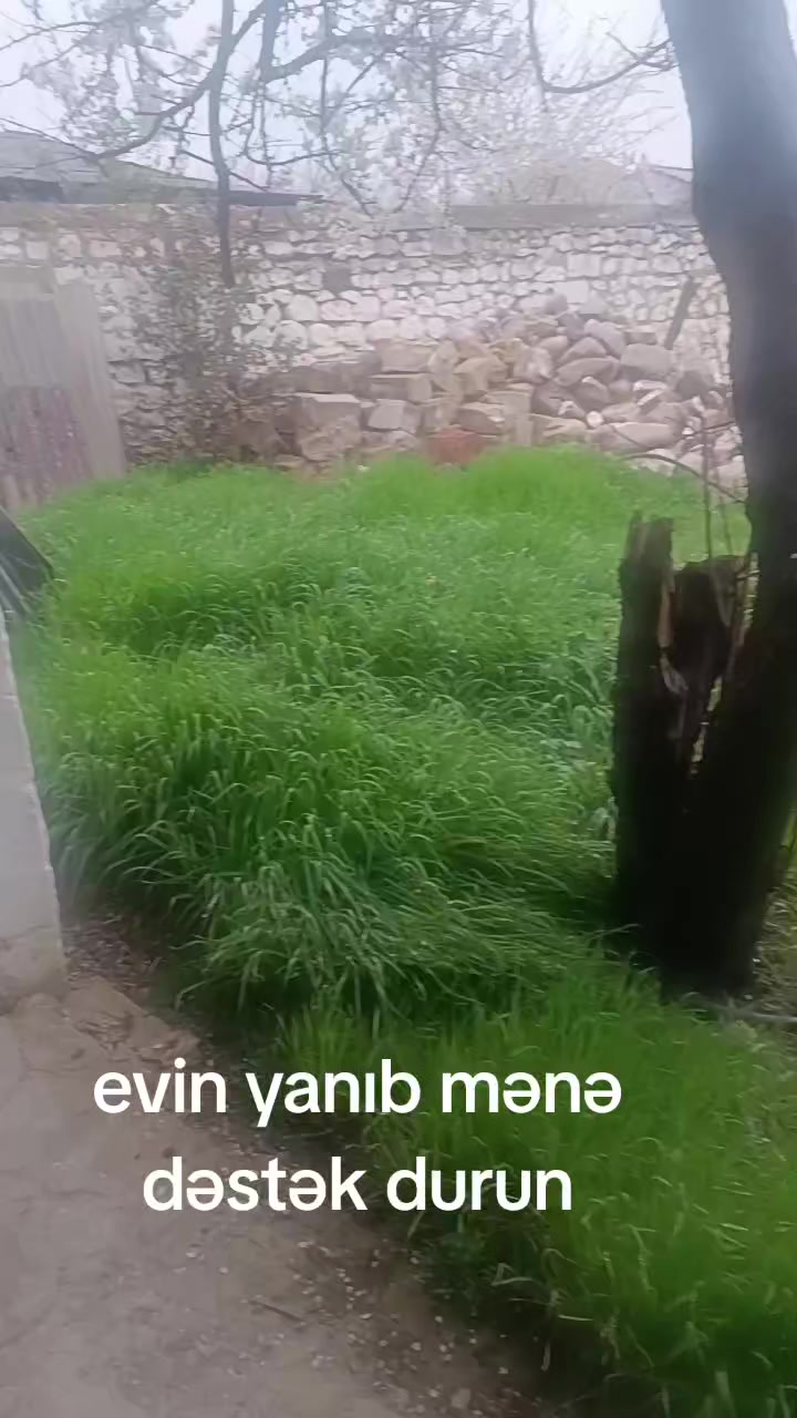 @müğənni xeyyam axslu