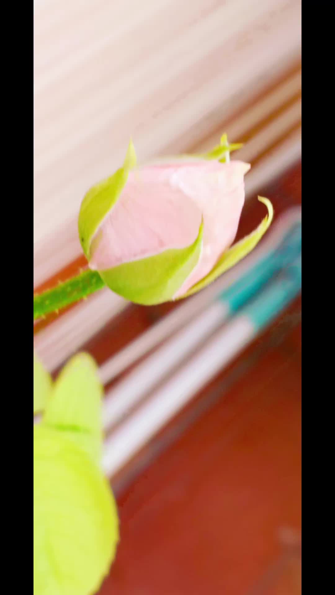 @Ivan 63 🌈🌈🌈