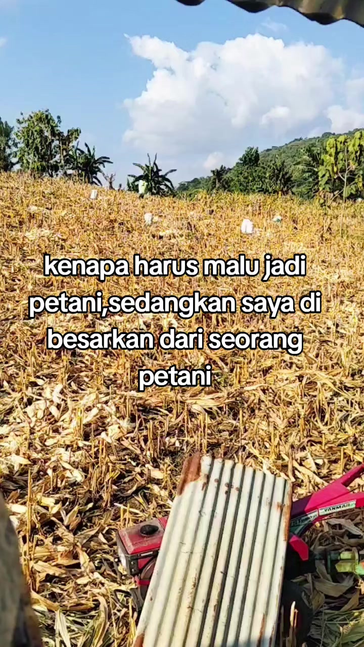 @saipulipul969