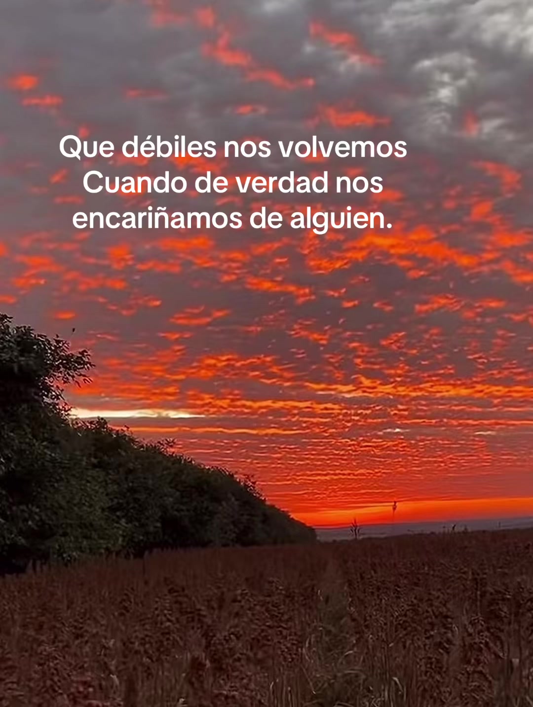 @Claudia