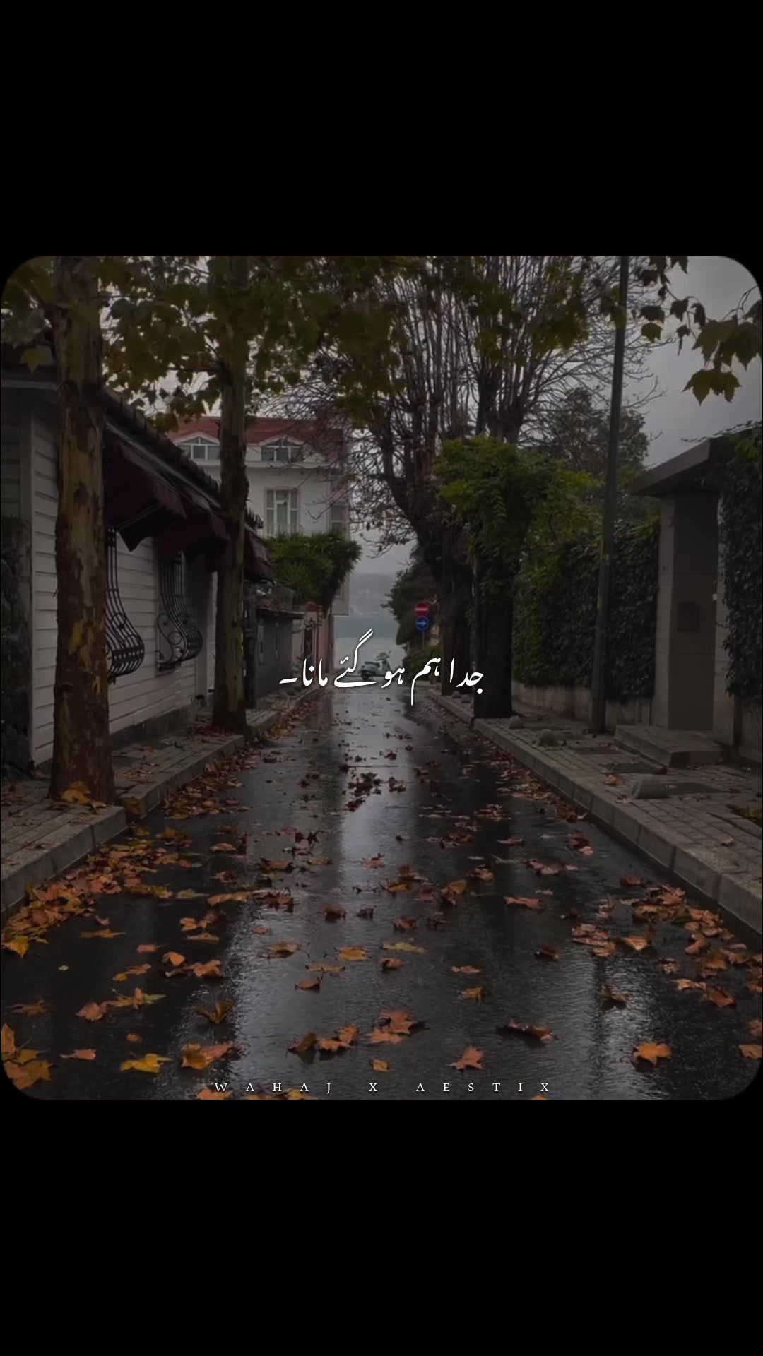 @𝙒 𝘼 𝙃 𝘼 𝙅 🕊️ &bull;