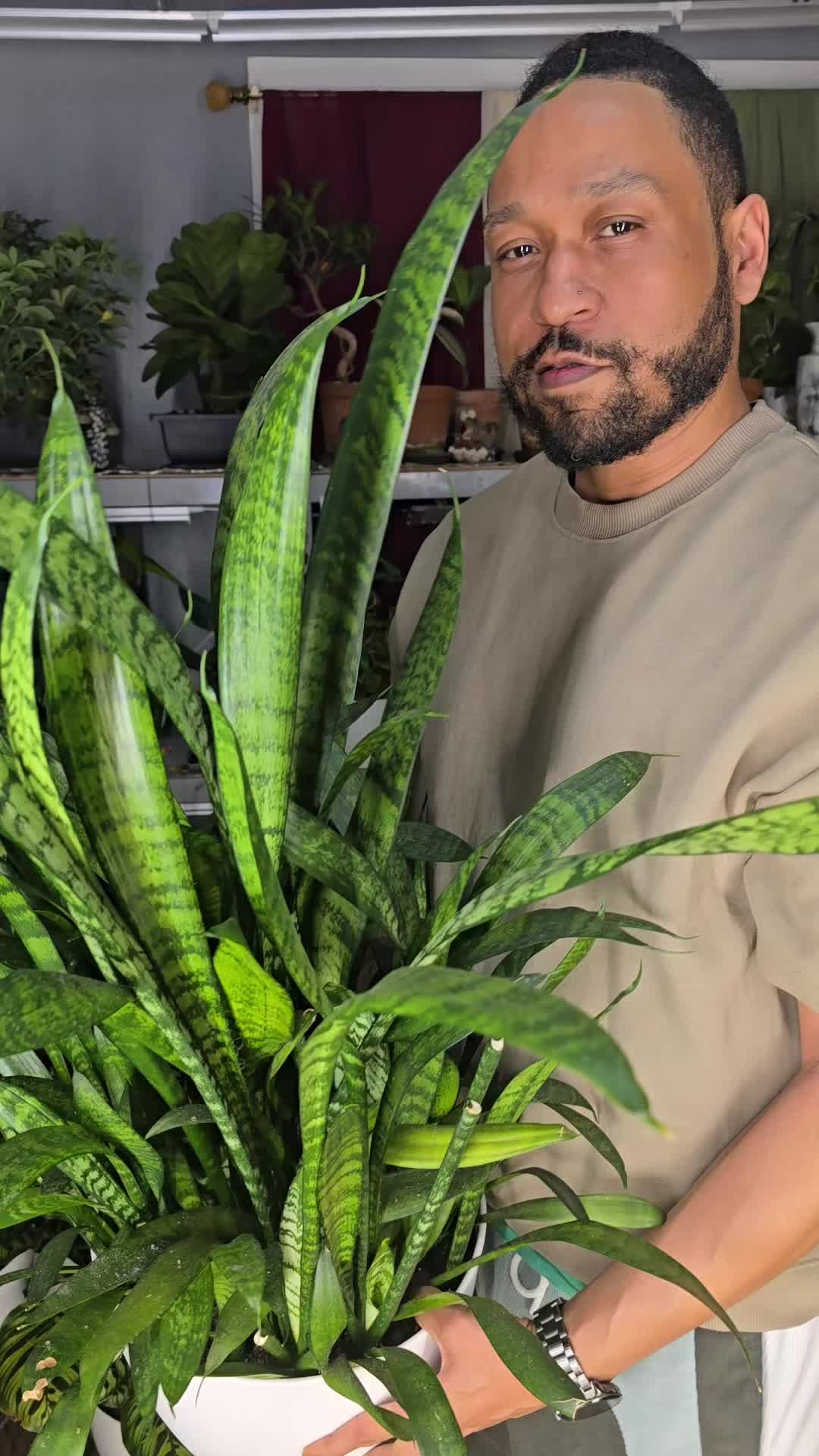 @JT - BigEGOPlants