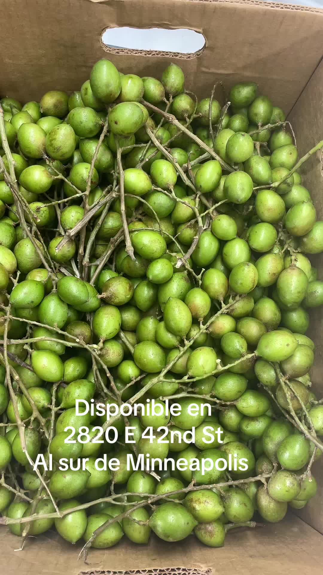 @FannisMiniMarket