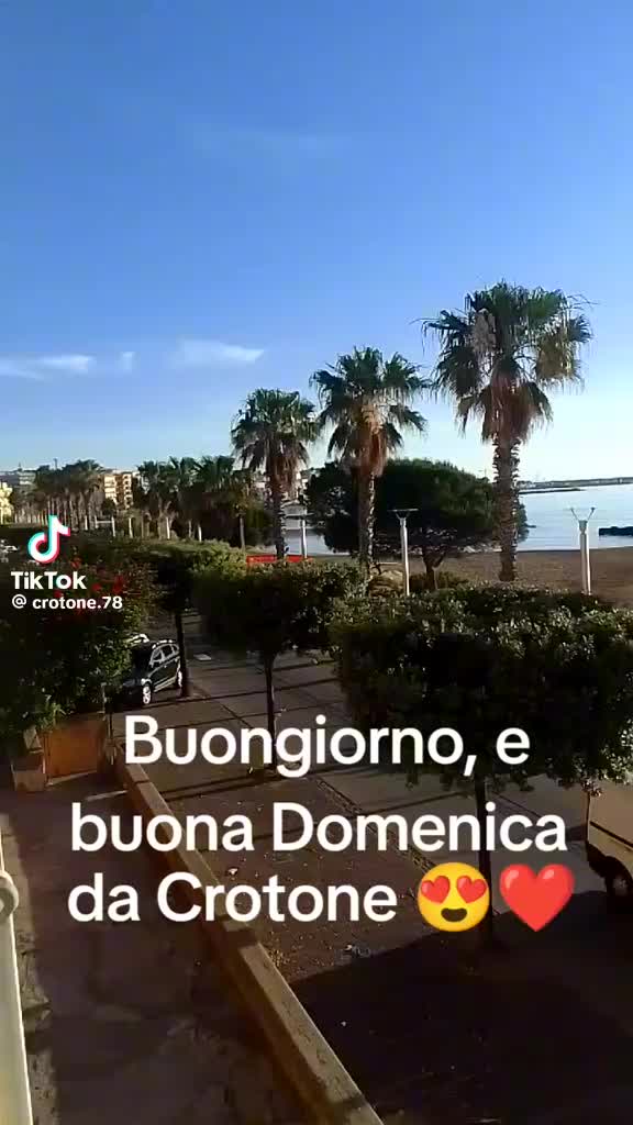 @aletorcia