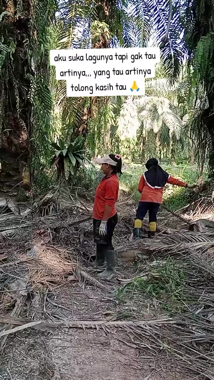 @Daryani yani
