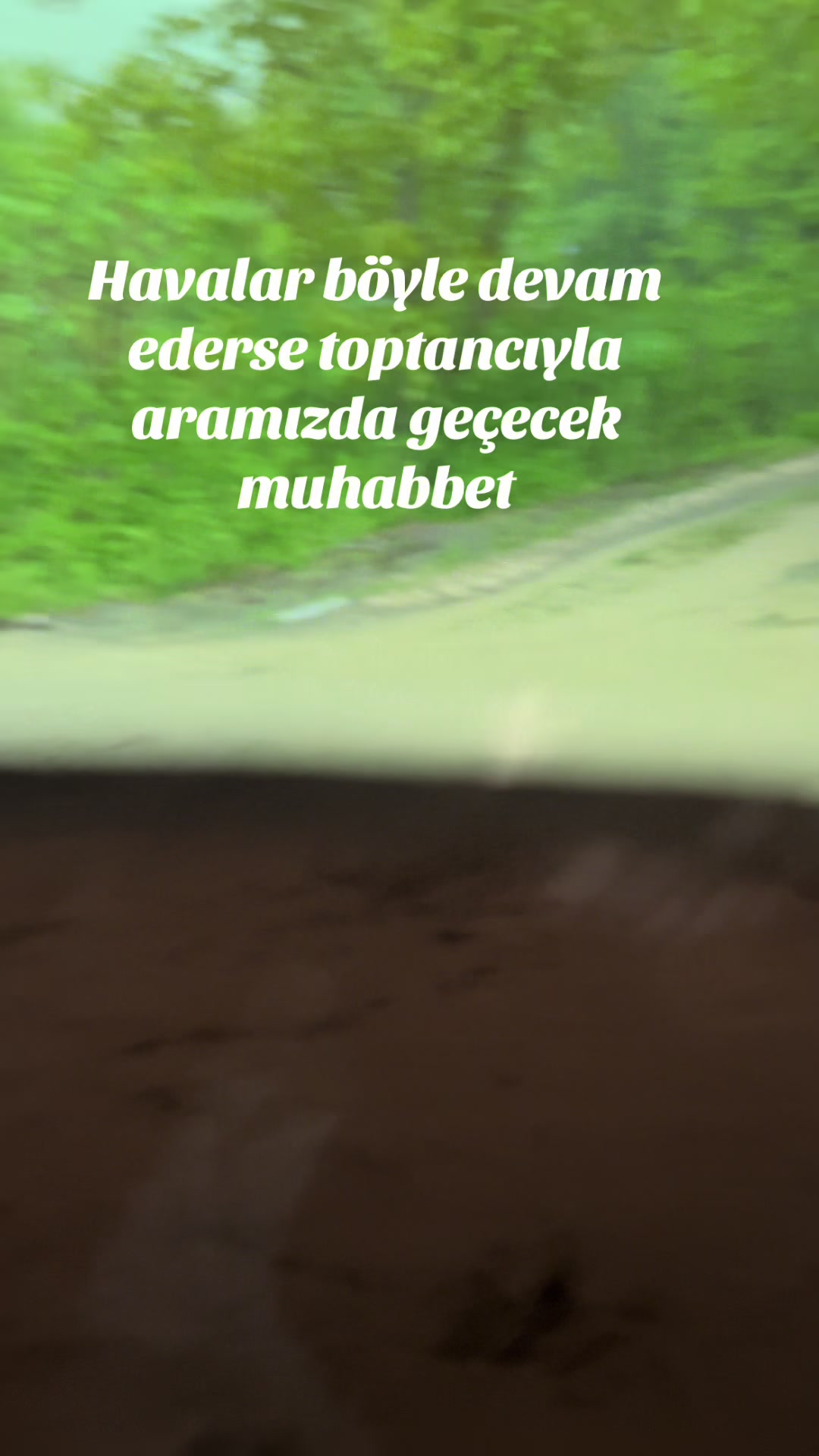@mstf
