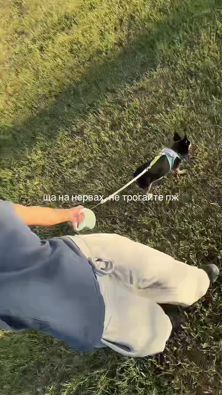 @тгк: мео