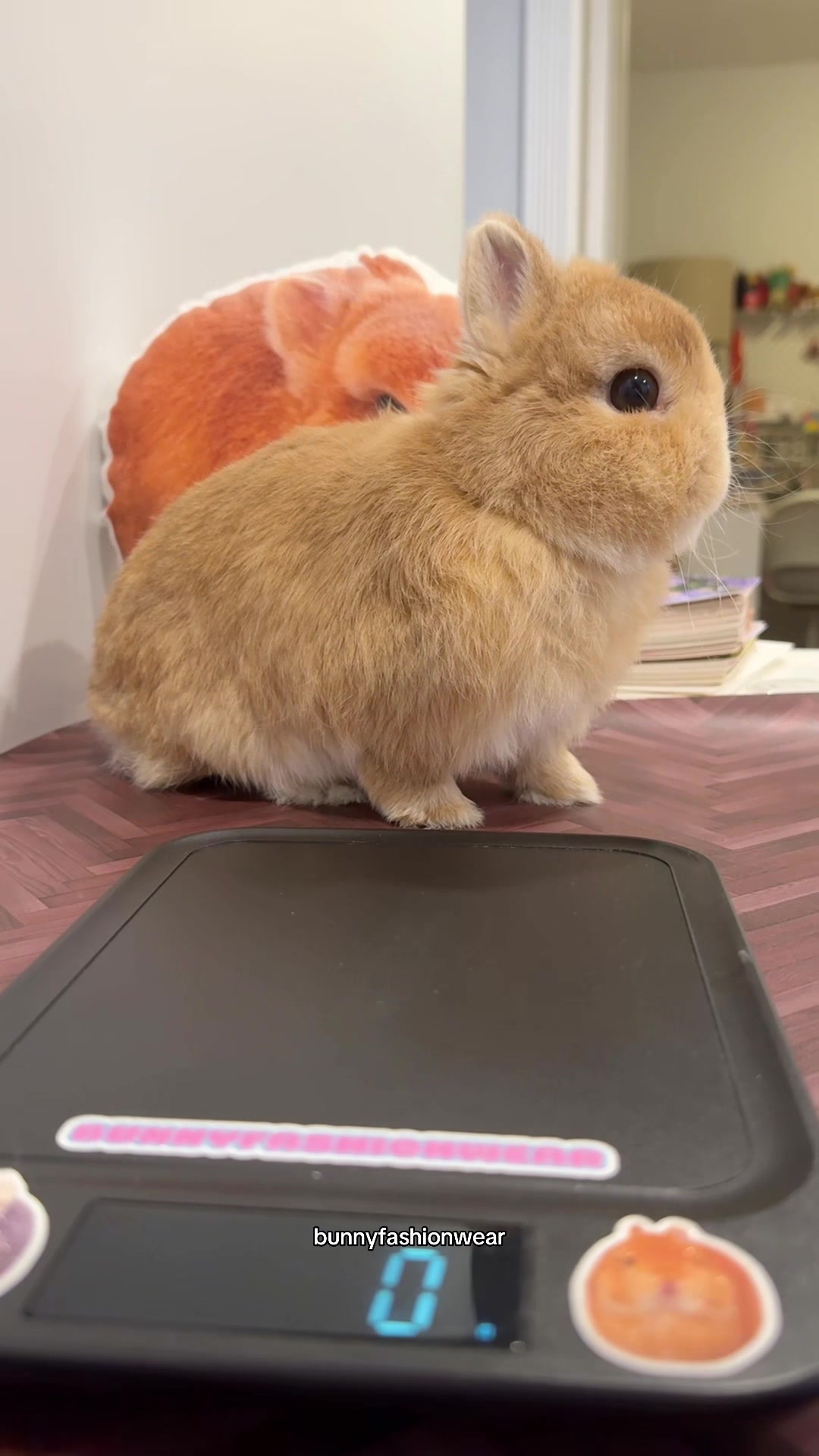 @Eggie