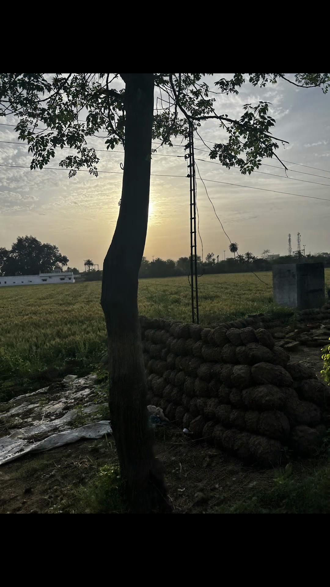 @Aesthetics by Kiran