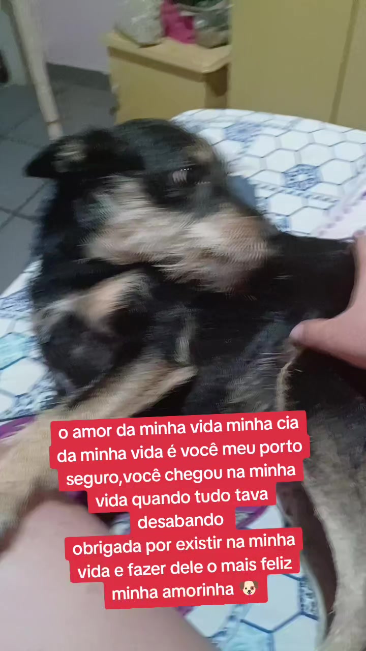 @🏳️🌈Elizângela Andrade🏳️🌈