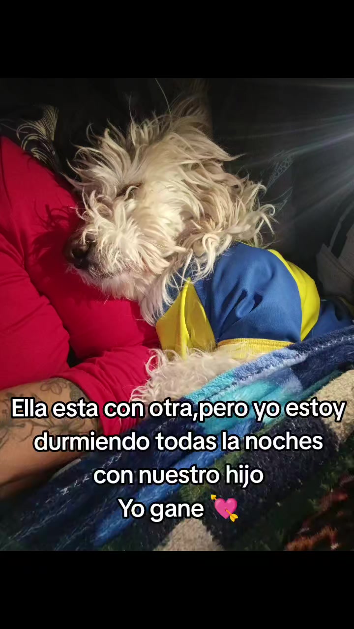 @aixa