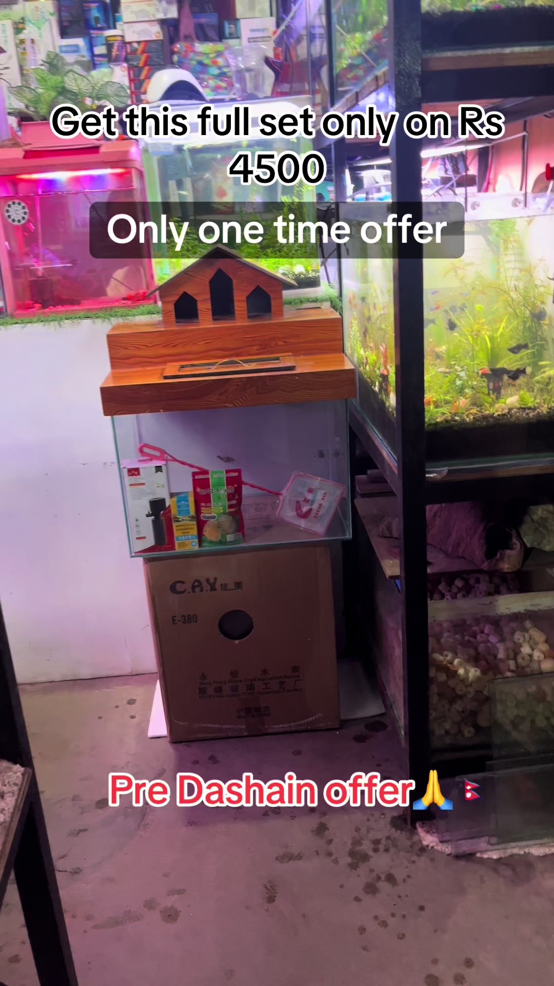 @aquadesire2🐠🐠