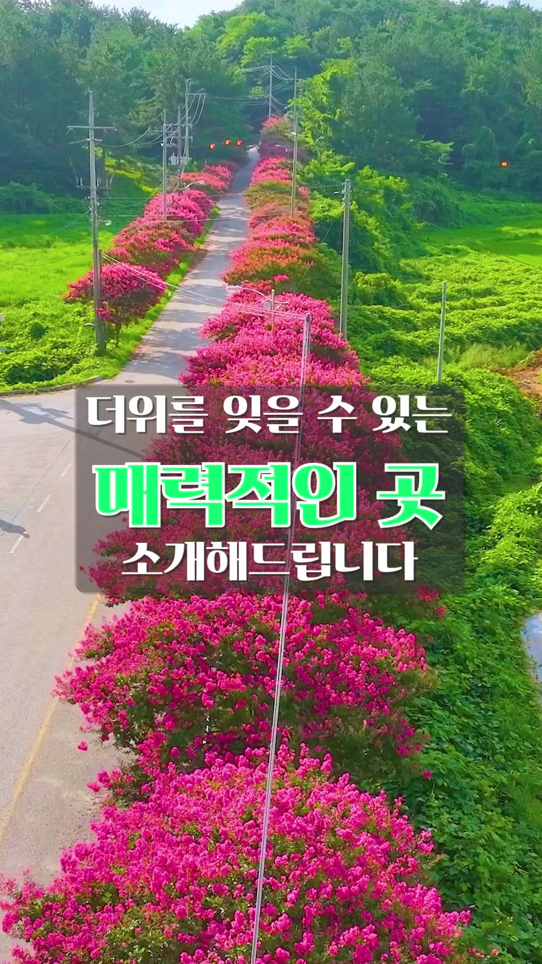 @Ddoo_pd