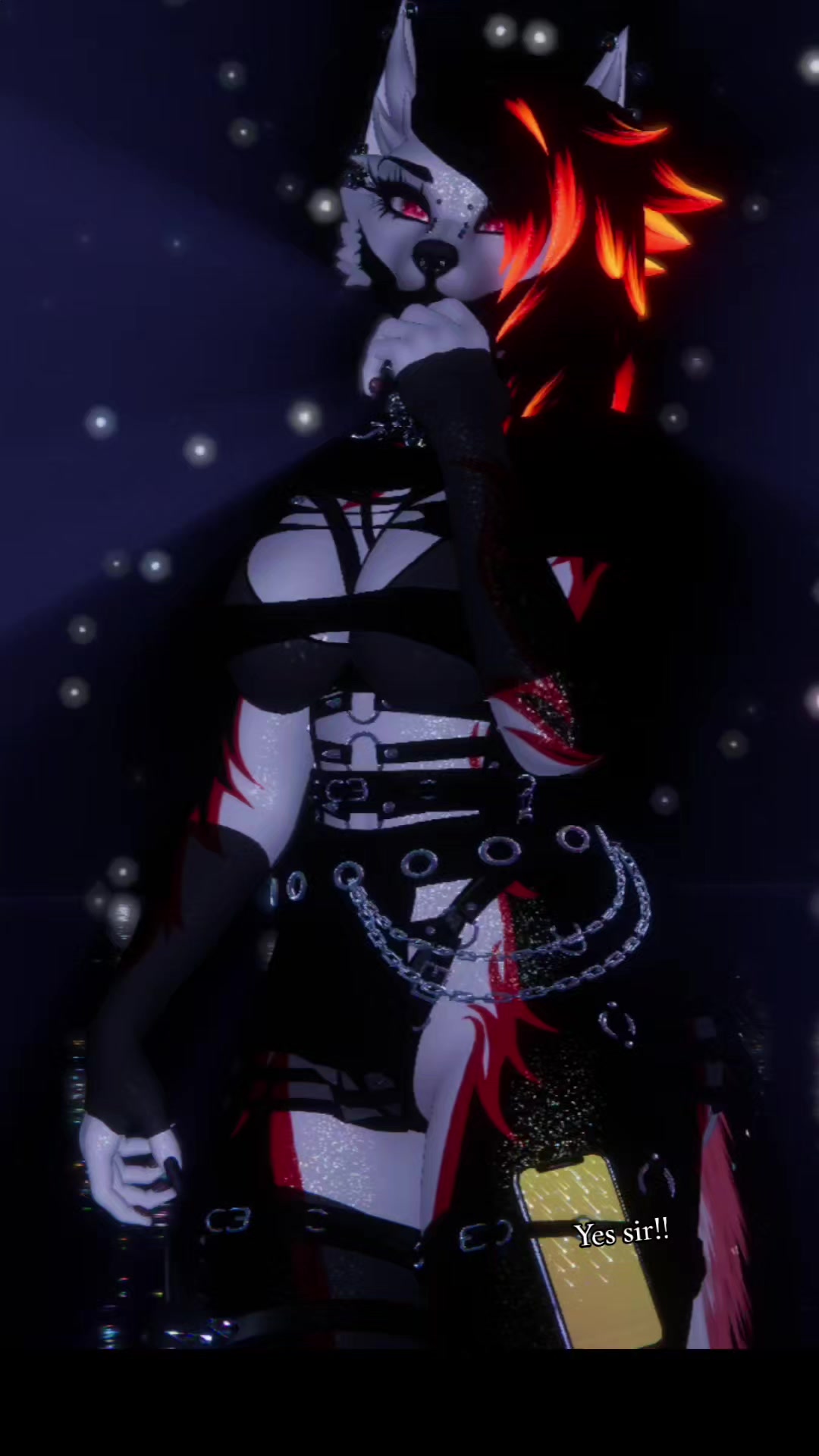 @☆⋆☾Megan Pups☽⋆☆