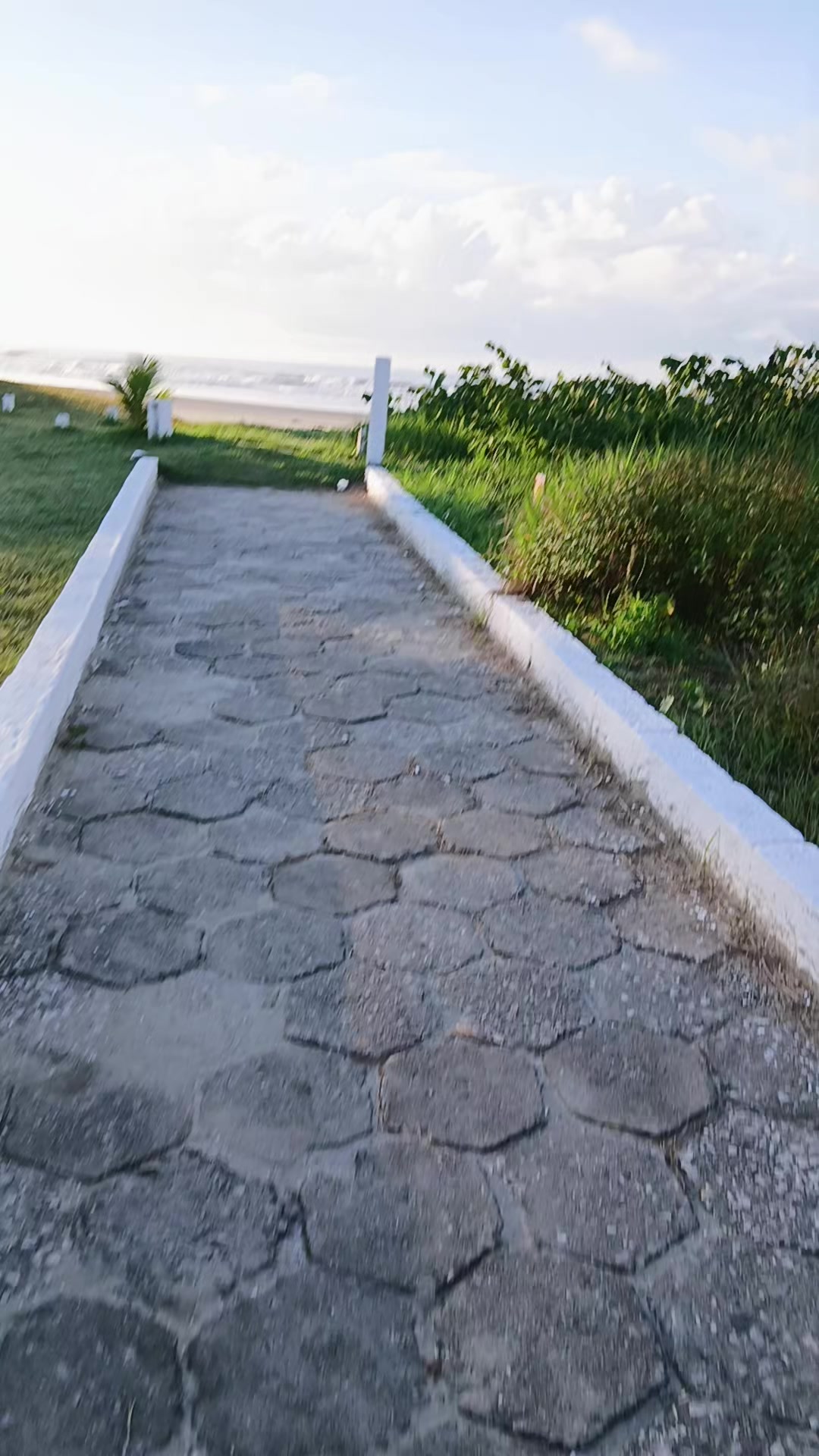 @van_cle