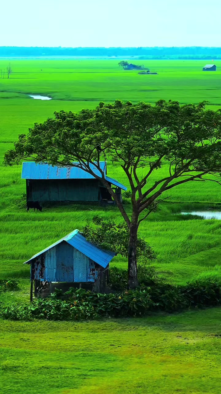 @❤️☘️শেষ পাতা ❤️🩹🍀🥰