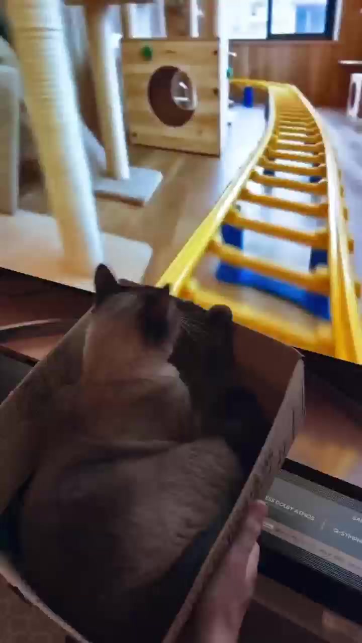 @FluffyTales