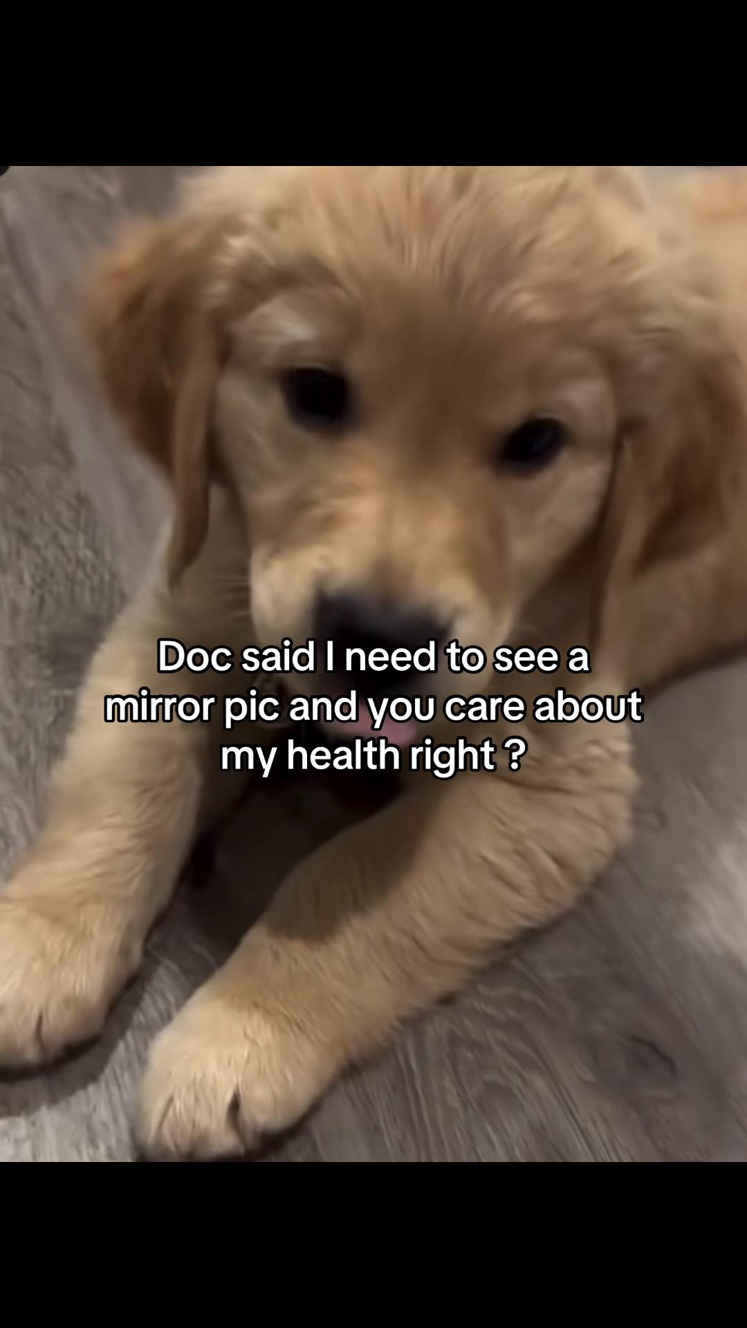 @Boxi