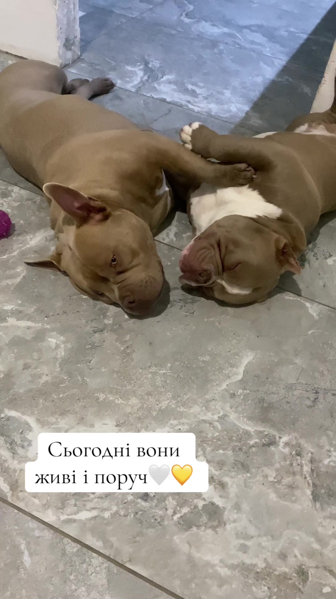 @Gre4anka