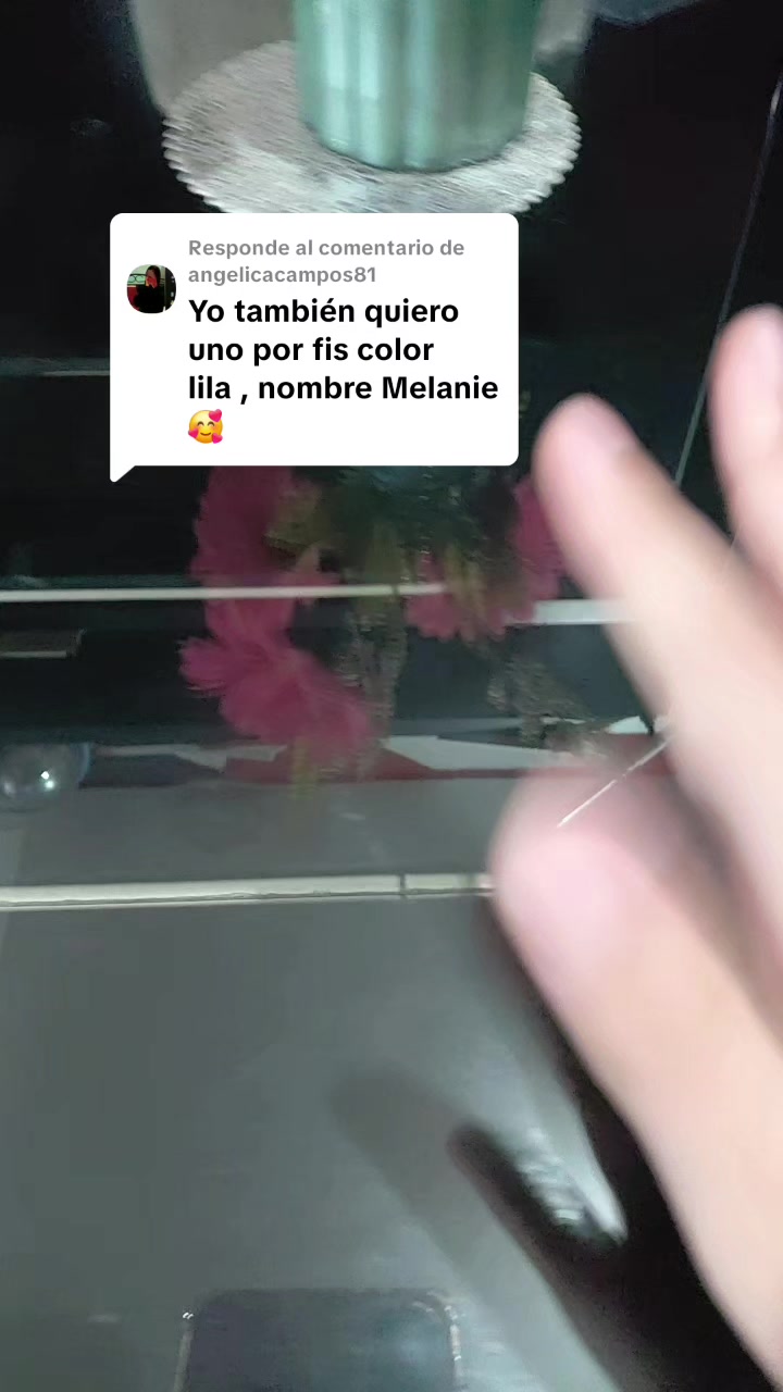 @yaz