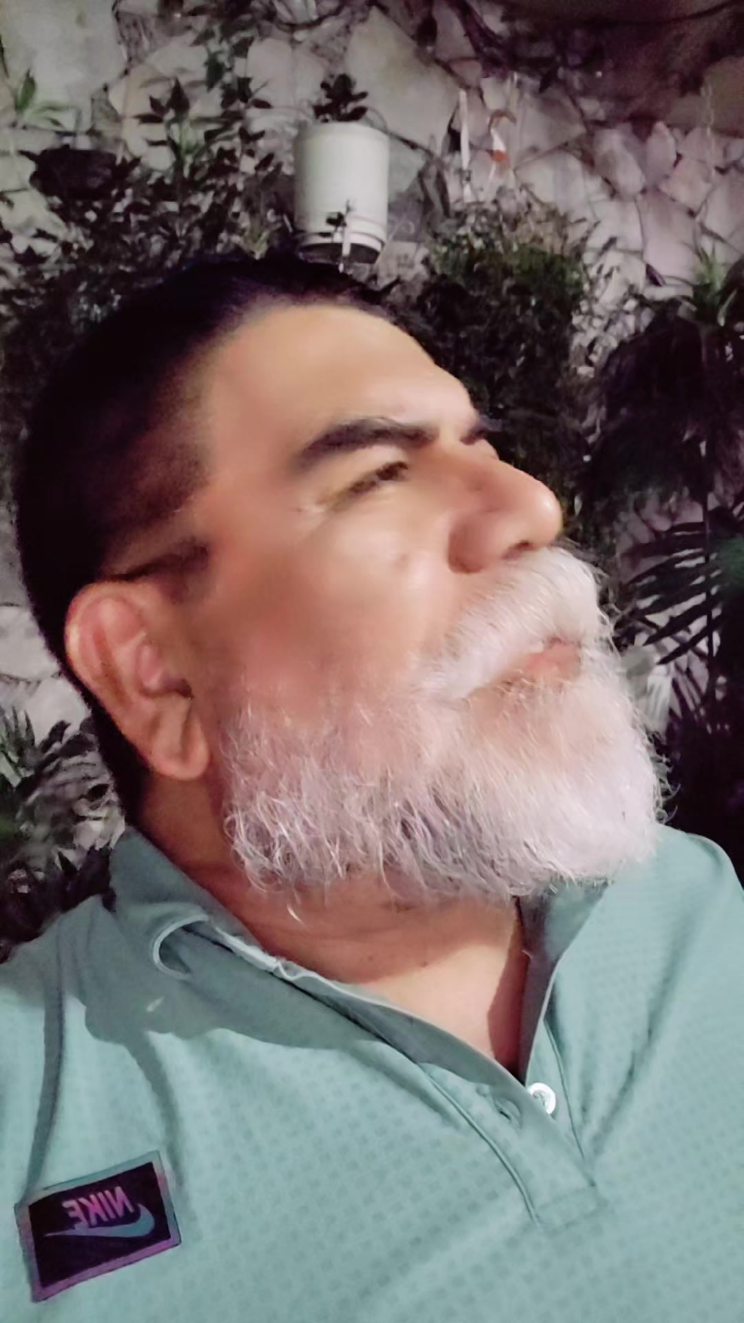 @Ernesto Torres Lopez