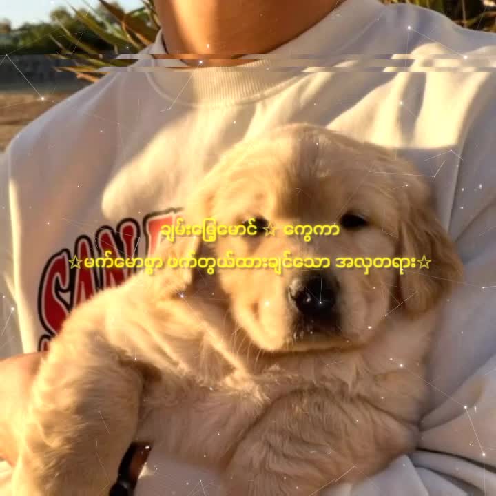 @Mesua Ferrea
