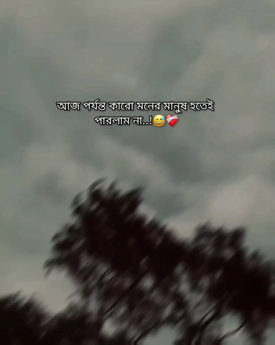@Rakib Khan