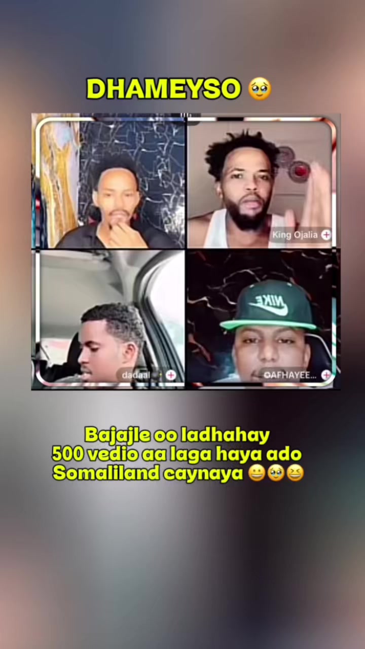 @TV_DAGODIA🇭🇹🦁🫡🦅🚨
