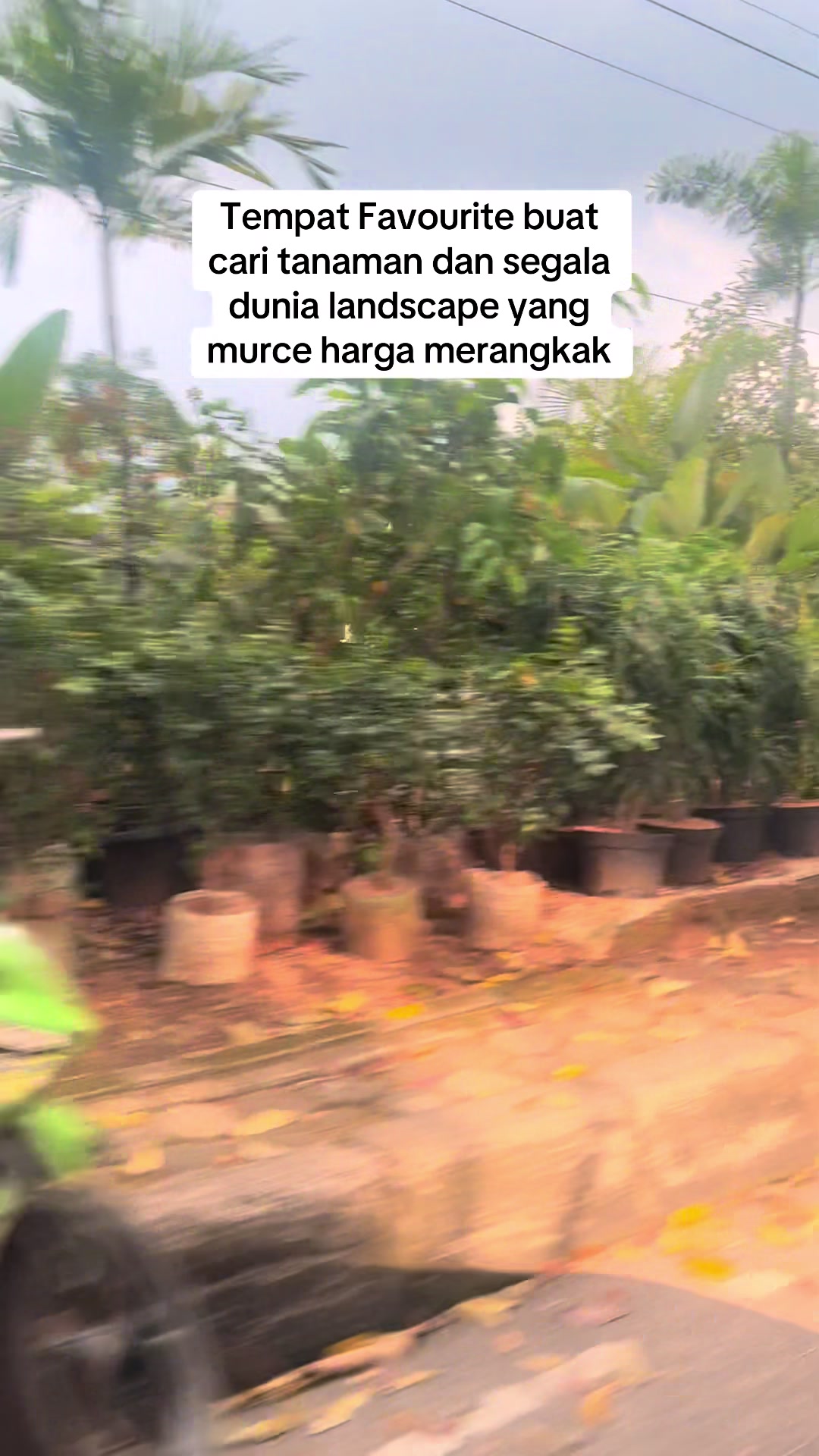 @Maia Marpaung