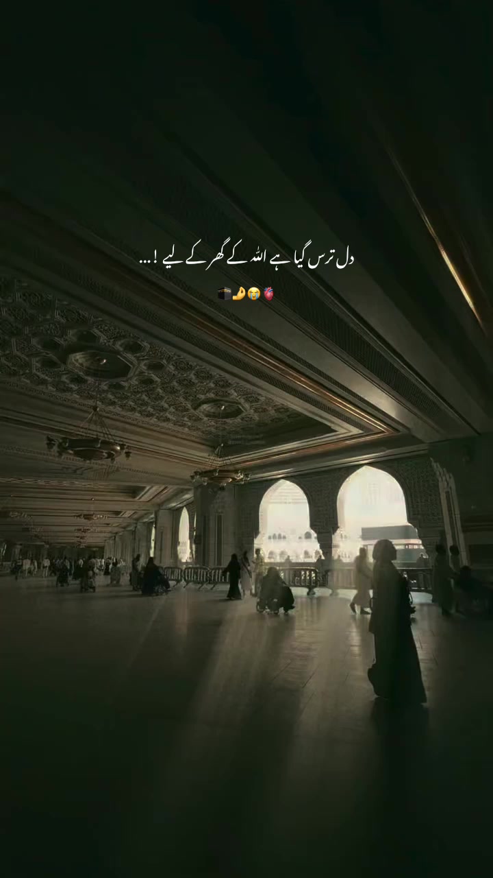 @𝑺𝒉𝒂𝒊𝒏𝒂 ✨❤️