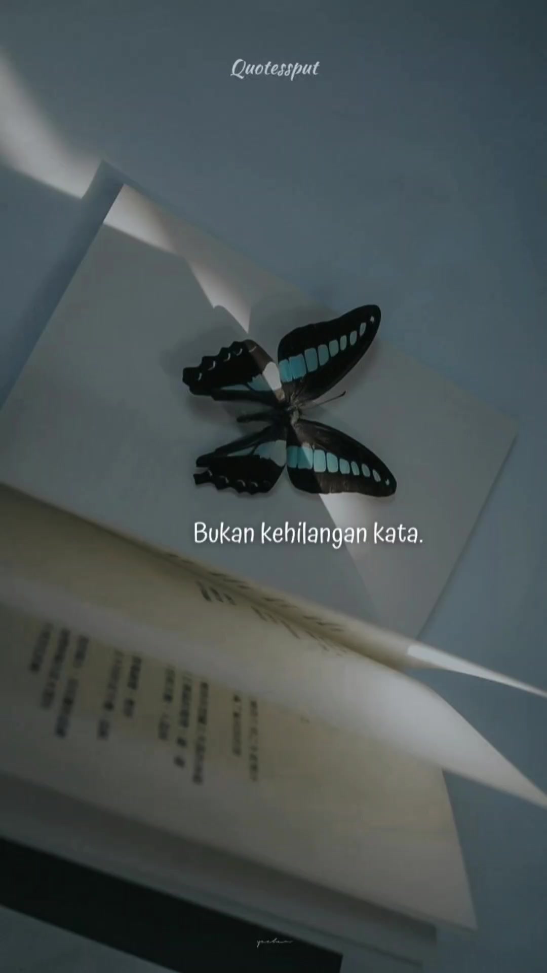 @Quotessput