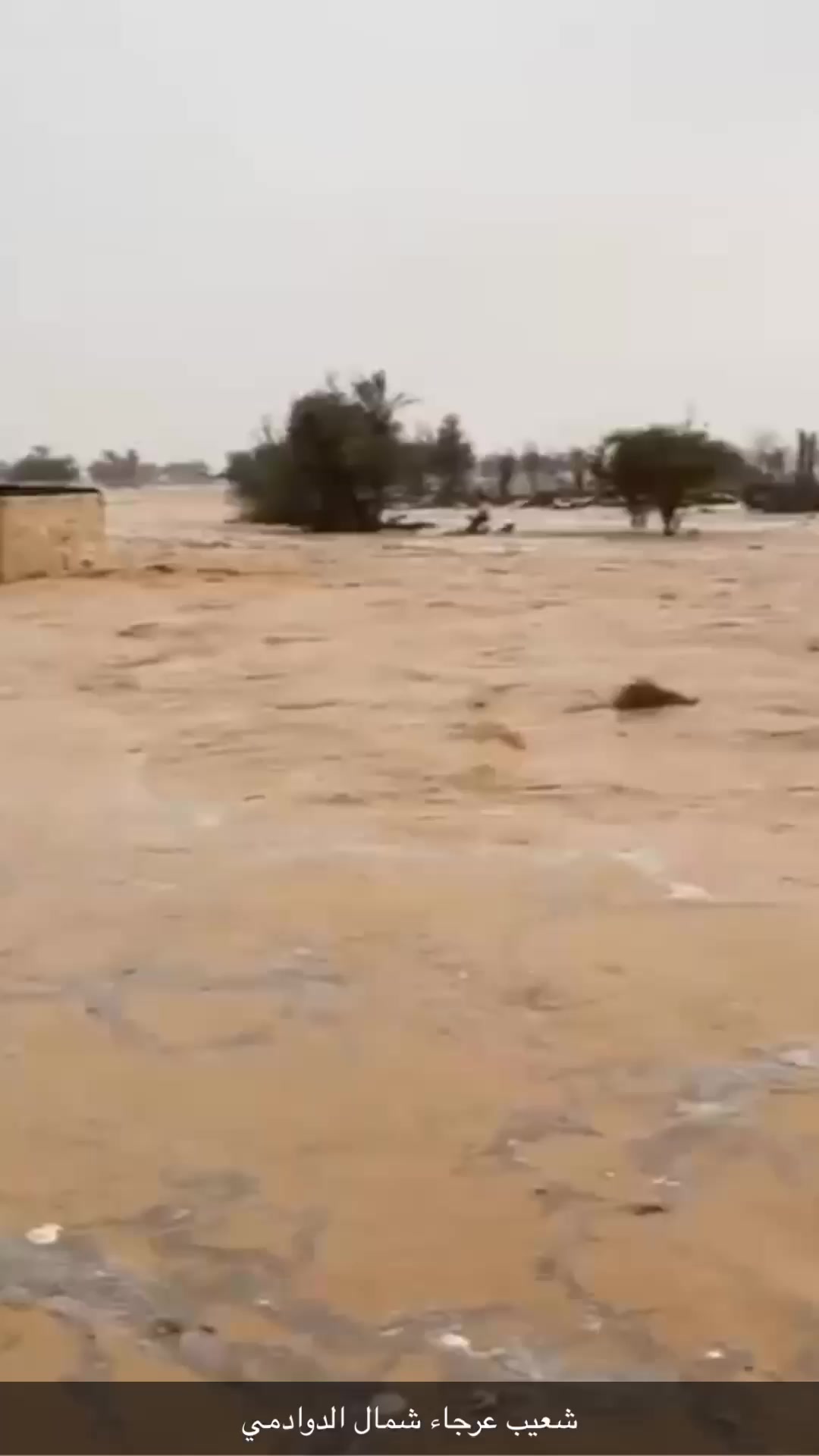 @رحـــال